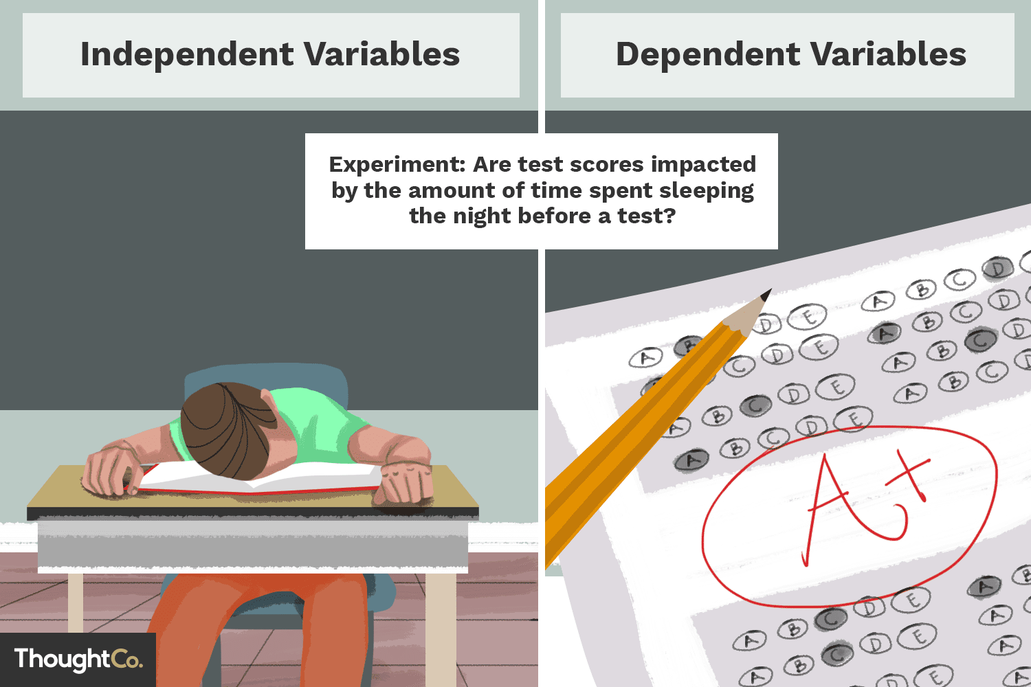 What Are Research Variables 